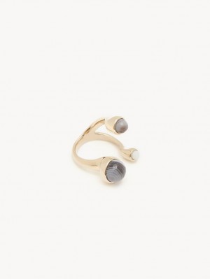 Anillos Chloe Zodiac Cancer Multicolor | CHE-SR14382