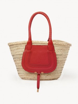 Baskets Chloe Medium Marcie Rojas | CHE-SR13634