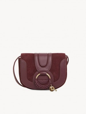 Bolsa De Hombro Chloe Hana Mini Marrones | CHE-SR14586