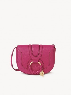 Bolsa De Hombro Chloe Hana Mini Rosas | CHE-SR14600