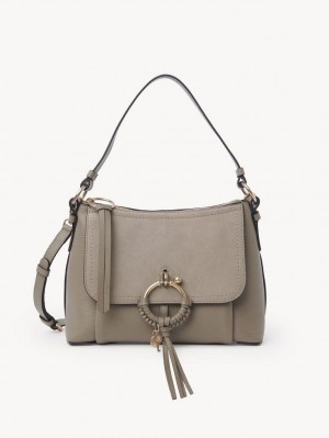 Bolsa De Hombro Chloe Joan Small Gris | CHE-SR14678