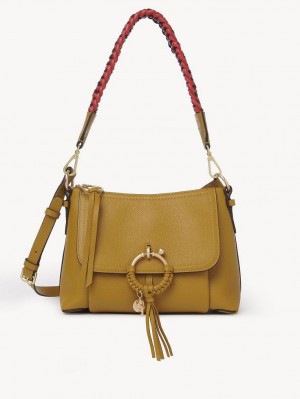 Bolsa De Hombro Chloe Joan Small Marrones | CHE-SR14648