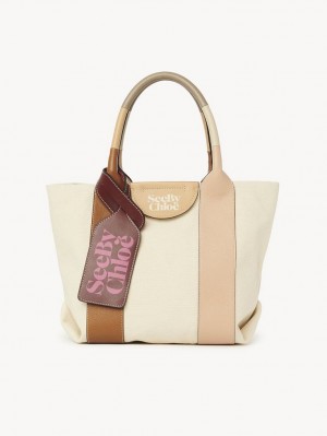 Bolso Tote Chloe Laetizia Small Marrones | CHE-SR14710