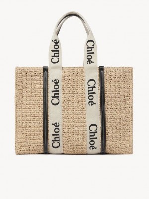 Bolso Tote Chloe Large Woody Marrones | CHE-SR13367