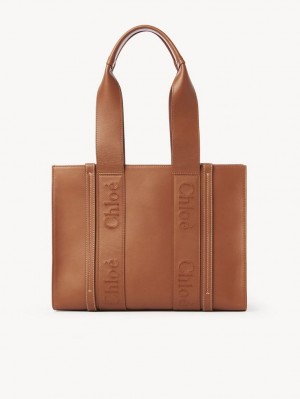 Bolso Tote Chloe Medium Woody Marrones | CHE-SR13346