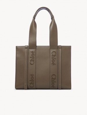 Bolso Tote Chloe Medium Woody Verde | CHE-SR13340