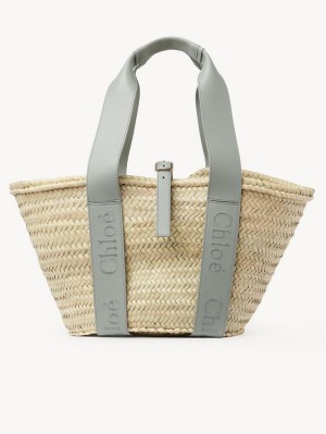 Bolso Tote Chloe Sense Medium Basket Verde | CHE-SR13383