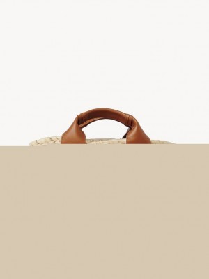 Bolso Tote Chloe Sense Small Basket Marrones | CHE-SR13320