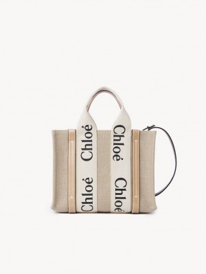 Bolso Tote Chloe Small Woody Blancas Beige | CHE-SR13373