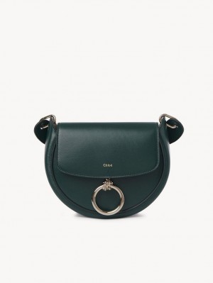 Bolsos Cruzados Chloe Arlène Small Crossbody Verde | CHE-SR13463