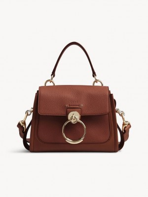 Bolsos Cruzados Chloe Mini Tess Day Marrones | CHE-SR13479