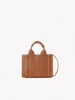 Bolsos Cruzados Chloe Mini Woody Marrones | CHE-SR13559