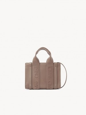 Bolsos Cruzados Chloe Mini Woody Marrones | CHE-SR13569