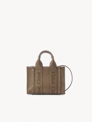 Bolsos Cruzados Chloe Mini Woody Verde | CHE-SR13521