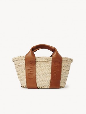 Bolsos Cruzados Chloe Sense Small Basket Marrones | CHE-SR13518