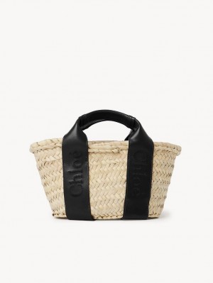 Bolsos Cruzados Chloe Sense Small Basket Negras | CHE-SR13519