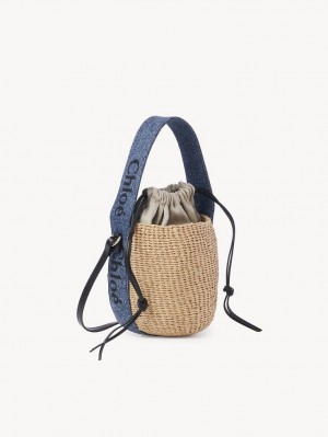 Bolsos Cruzados Chloe Small Woody Basket Azules | CHE-SR13608