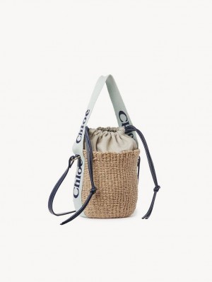 Bolsos Cruzados Chloe Small Woody Basket Verde Azules | CHE-SR13617