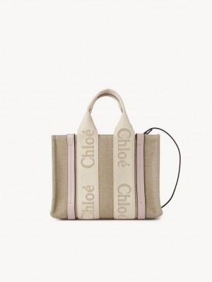 Bolsos Cruzados Chloe Small Woody Gris | CHE-SR13622