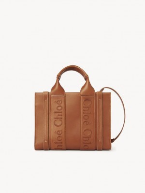 Bolsos Cruzados Chloe Small Woody Marrones | CHE-SR13535