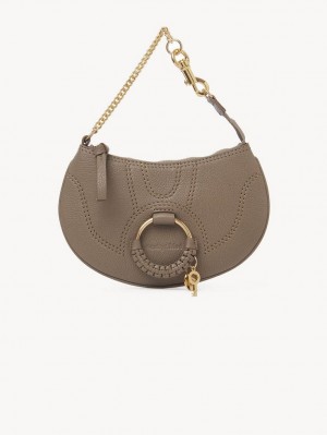 Bolsos Mini Chloe Hana Clutch Gris | CHE-SR14769