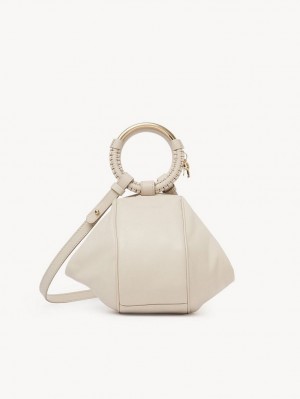 Bolsos Mini Chloe Hana Wristlet Beige | CHE-SR14774