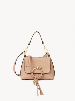 Bolsos Mini Chloe Joan Cafe Rosas | CHE-SR14744