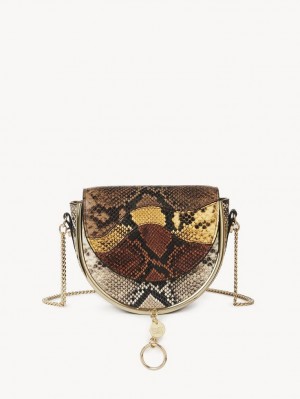 Bolsos Mini Chloe Mara Evening Marrones | CHE-SR14756