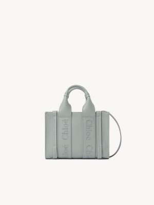 Bolsos Mini Chloe Woody Tote 1 Verde | CHE-SR13697