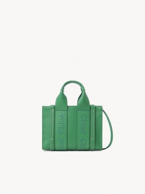 Bolsos Mini Chloe Woody Tote 1 Verde | CHE-SR13698