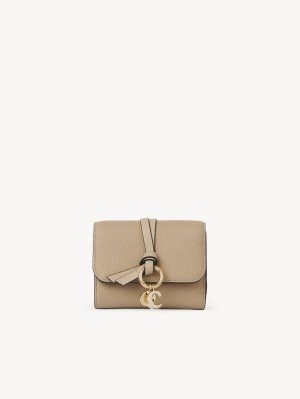 Carteras Pequeñas Chloe Alphabet Small Tri-fold Marrones | CHE-SR14294