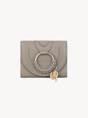 Carteras Pequeñas Chloe Hana Trifold Gris | CHE-SR14901