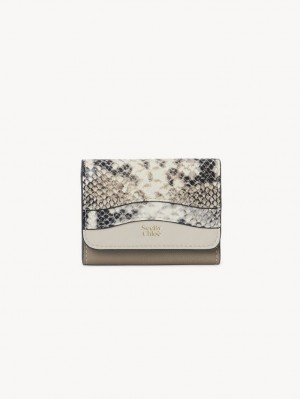 Carteras Pequeñas Chloe Layers Medium Tri-fold Gris | CHE-SR14898