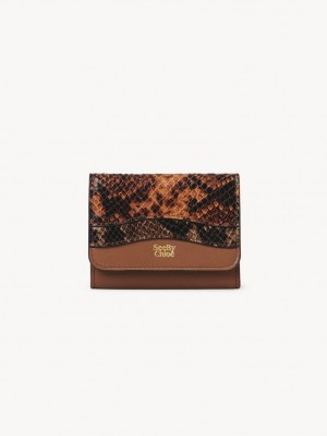 Carteras Pequeñas Chloe Layers Medium Tri-fold Marrones | CHE-SR14899