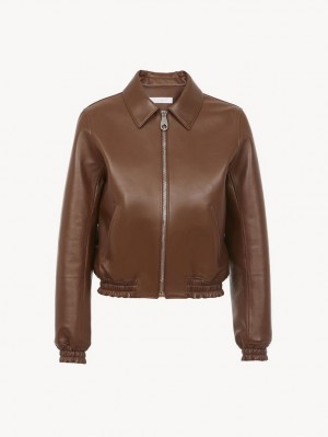 Chaquetas Chloe Corta Blouson Cafe | CHE-SR13797