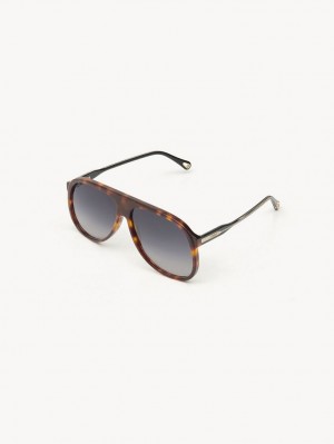 Gafas de Sol Chloe Dannie Negras | CHE-SR14569