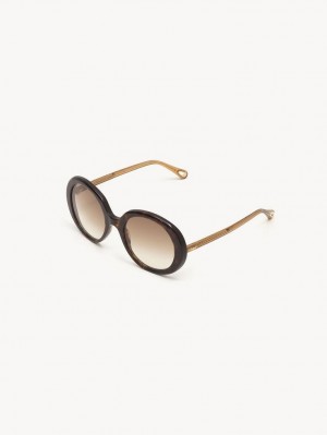 Gafas de Sol Chloe Esther Marrones | CHE-SR14529