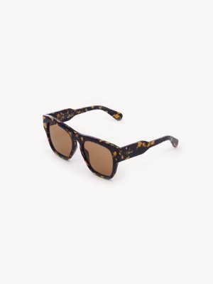 Gafas de Sol Chloe Gayia Burdeos | CHE-SR14576