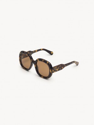 Gafas de Sol Chloe Gayia Burdeos | CHE-SR14577