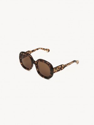 Gafas de Sol Chloe Gayia Marble Havana | CHE-SR14578