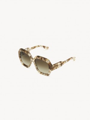 Gafas de Sol Chloe Gayia Marrones | CHE-SR14575