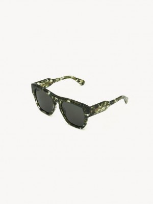 Gafas de Sol Chloe Gayia Verde | CHE-SR14580