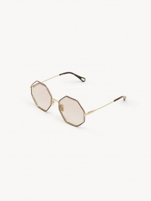 Gafas de Sol Chloe Poppy Petite Doradas Beige | CHE-SR14546