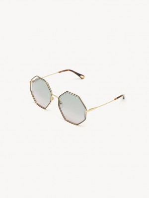 Gafas de Sol Chloe Poppy Verde Rosas | CHE-SR14534