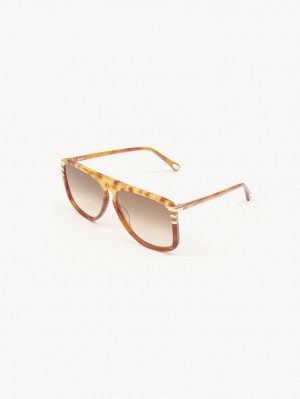 Gafas de Sol Chloe West Havana Patchwork | CHE-SR14564