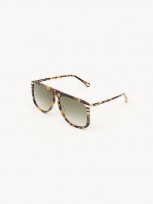 Gafas de Sol Chloe West Havana | CHE-SR14565