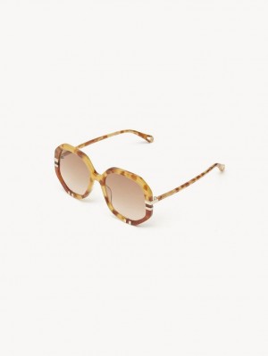 Gafas de Sol Chloe West Small Havana Patchwork | CHE-SR14518