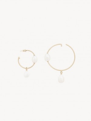 Pendientes Chloe Darcey Hoop Doradas Blancas | CHE-SR14442