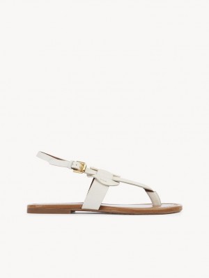 Sandalias Chloe Chany Blancas | CHE-SR14845