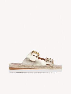 Sandalias Chloe Glyn Plataforma Alpargata Plateadas | CHE-SR14802